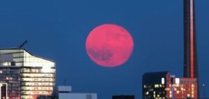 Read more about the article Strawberry Moon Rises So Low in Night Sky That It Won’t Return Until 2043